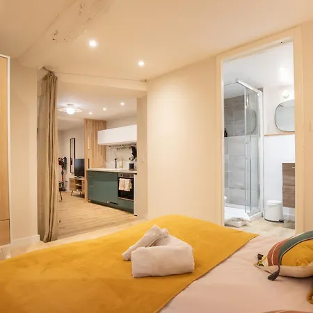 Apartment Le Triplex - 8 Pers - Hypercentre - Wifi *